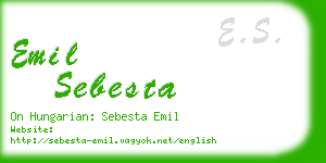 emil sebesta business card